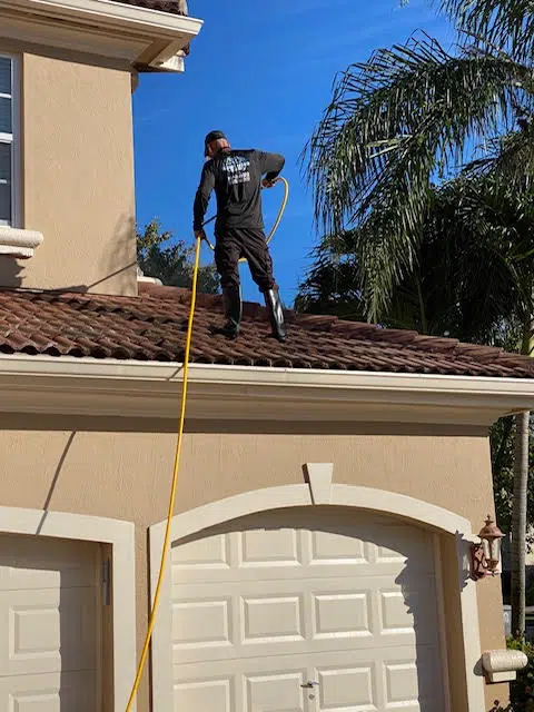 Exterior Cleaning Solutions gallery